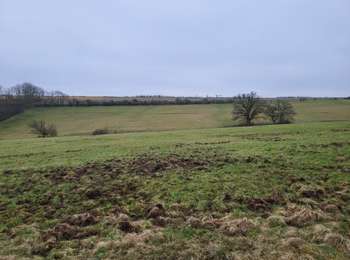 Tour Wandern Somme-Leuze - Nettine 020224 - Photo
