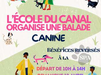 Trail Walking La Louvière - petite balade canine 8km - Photo