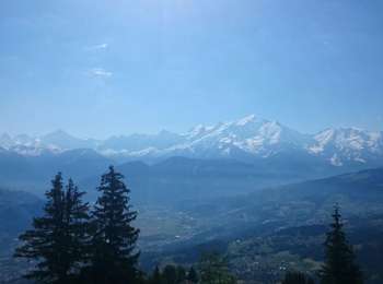 Tour Wandern Cordon - Grand Croisse Baulet  - Photo