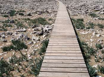 Tocht Moto-cross Almuñécar - Loja - Passerelle mirador de Karts -  Ruta de Cabras - Photo