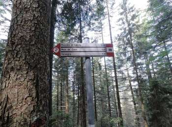 Tour Zu Fuß Moio de' Calvi - Sentiero 126: Moio de' Calvi - Monte Torcola - Photo