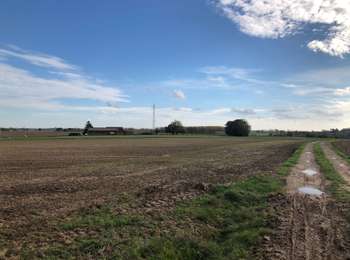 Trail Walking Lessines - Lessines,Ghoy,Ogy,Flobecq. - Photo