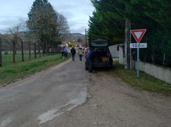 Trail Walking Vincelles - Vincelles 290125 - Photo