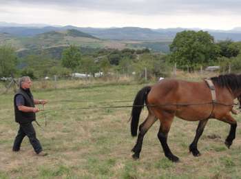 Percorso A piedi Orbeil - Le Domaine de Vort - Photo