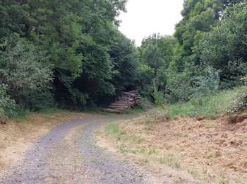 Percorso Marcia Verrières - DOLMEN ET CASCADE DE SAILLANT DEPUIS VERRIERES - Photo