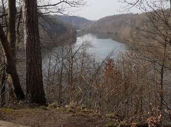 Randonnée Marche Montigny-le-Bretonneux - ADAL 20210302 - Photo