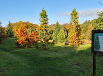 Tocht Stappen Ottignies-Louvain-la-Neuve - J2 - Louvain-la-Neuve V2 - 14 km - Photo