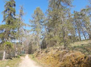 Trail Walking Trooz - autour de Prayon (si on m avait dit ...) - Photo