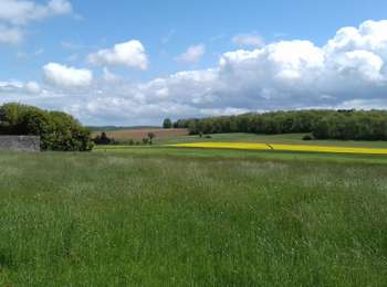 Trail Walking Tinlot - Ramelot-Linchet-Bois de Forkechamps - Photo