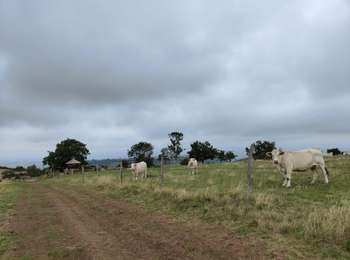 Percorso Marcia Ardes - concours Salers - Photo