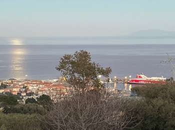 Trail Walking Bastia - Autour de Cardo  - Photo