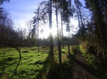 Tocht Mountainbike Villers-la-Ville - viller la ville à court saint etienne - Photo