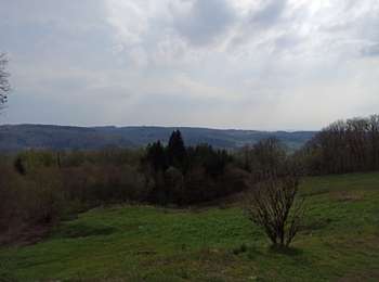 Trail Walking Sainte-Marie-en-Chanois - 22-04-21 rando des 2 chapelles Amage - Photo