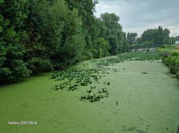 Tocht Stappen Chalette-sur-Loing - Chalette sur Loing 45 - Photo