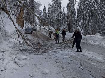 Trail Snowshoes La Pesse - La Pesse Embossieux /Le Lac de l'Embouteilleux  - Photo