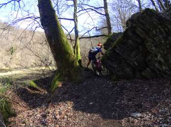 Percorso Mountainbike Libin - VTT sur redu - Photo