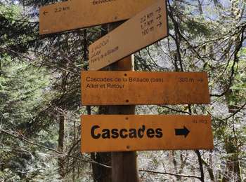 Trail Walking Le Vaudioux - cascade de Billaude - Photo