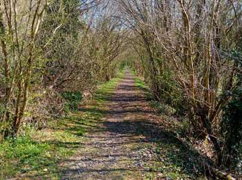 Trail Walking Anthisnes - tavier reco 0425 - Photo