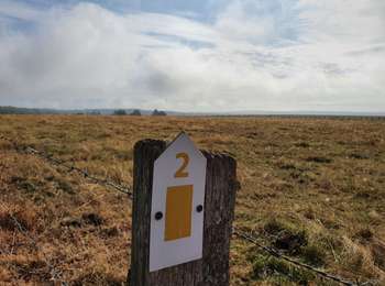 Tocht Te voet Daverdisse - SityTrail - HF 2 - Sclassin - Photo