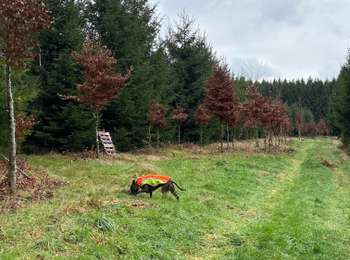 Randonnée Marche Léglise - Bombois - Photo