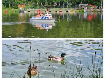 Randonnée Marche Brunssum - Brunsumm - 1055 - Photo