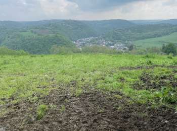 Trail Walking Trooz - Au tour de forêt( trooz)13 Km - Photo