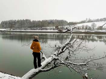 Trail Walking Bütgenbach - Le lac miroir à Bütgenbach   - Photo