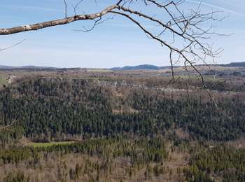 Trail Walking Soucia - Soucia-belvedere- de-la-scie - Photo