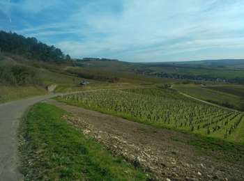 Trail Hybrid bike Jussy - Cravant 18032025 - Photo