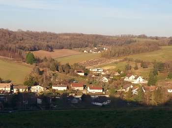 Trail Walking Véron - Veron 250114 - Photo