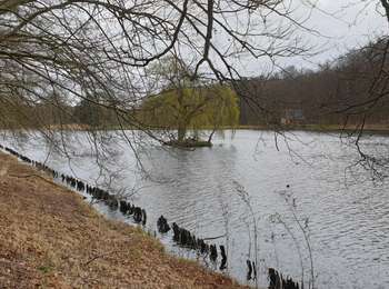 Tocht Stappen Tervuren - 2020-03-15 - Tervuren - Étangs de Vossem - Photo