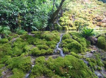 Trail Walking Bourg-de-Sirod - Perte de l'Ain 15.7.24 - Photo
