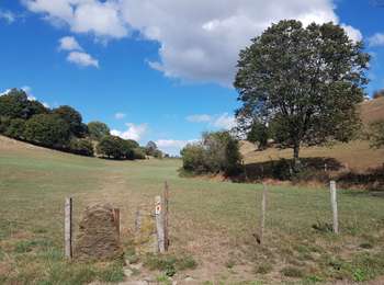 Trail Walking Dison - Andrimont - Verviers  - Photo