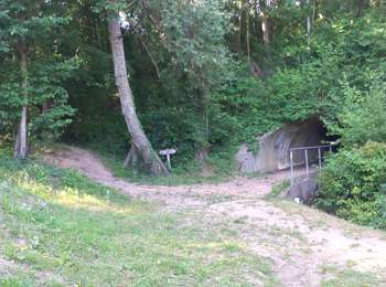 Trail Walking Saint-Martin-Boulogne - Saint Martin La colonne La Cluse 23 Juin 2025 - Photo