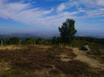Percorso Marcia Chanat-la-Mouteyre - La Croix de Ternant (02) - Photo
