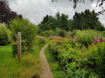 Trail Walking Bütgenbach - 2021-05-14_19h00m09_elsenborn - Photo