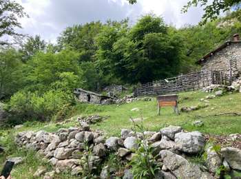 Trail Walking Vivario - Vizzavone-refuge de Capannelle - Photo