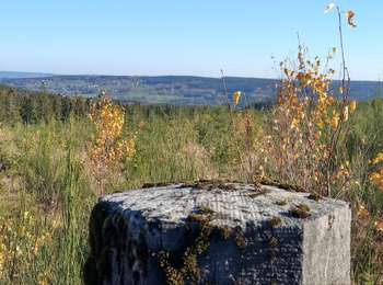 Trail On foot Trois-Ponts - 13. Promenade des Bruyères - Photo
