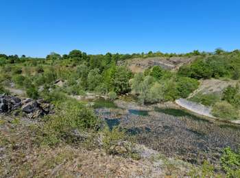 Tour Wandern Cerfontaine - Balade des ruelles à Cerfontaine - Photo
