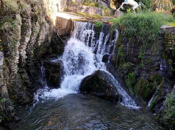 Trail Walking Marche-en-Famenne - Promenade vers le site naturel du fond des vaulx  - Photo