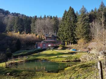 Trail Walking Lepuix - Malvaux - Ballon d'Alsace - Photo