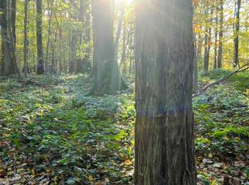 Tour Wandern Parmain - Vexin - Villages et vallée du Saucerron De Parmain à  - Photo