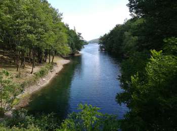 Tocht Stappen Villefort - Lac Villefort la Garde Guerin, lac de Villefort.(31-05-2020) - Photo