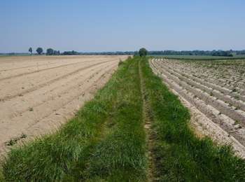 Tour Wandern Gembloux - bgg - ernage bertinchamps gentines chastre perbais - Photo