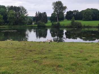 Trail Walking Clavier - La promenade du Vicus Gallo-Romain - Photo