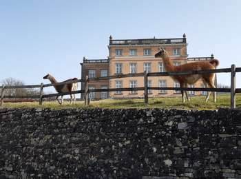 Trail Walking Clavier - st fontaine-tahier-ossogne-st fontaine ac - Photo