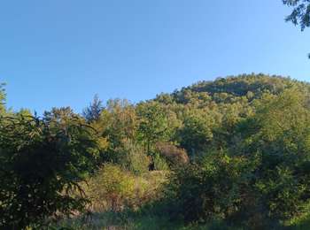 Trail Walking Liège - tour des terrils liégeois - Photo