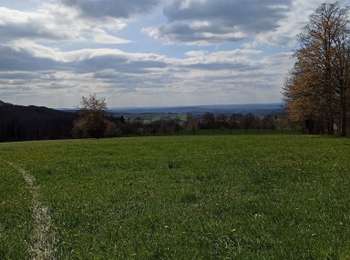 Trail Walking Fougerolles-Saint-Valbert - 17-04-21 circuit pont Ferjeux, Basse Robert - Photo