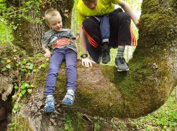 Trail Walking Escamps - Ecamps - Photo