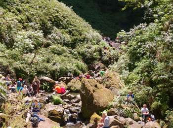 Tocht Stappen Santana - PR9 Levada do caldeirao verde - Photo
